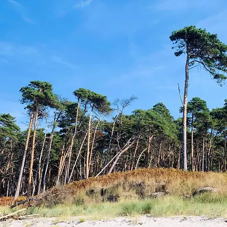 Reetdachferienhaus Nur 50m Von Der Ostsee Entfernt *